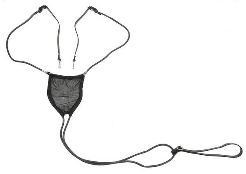 W Hingste Susp, Netting