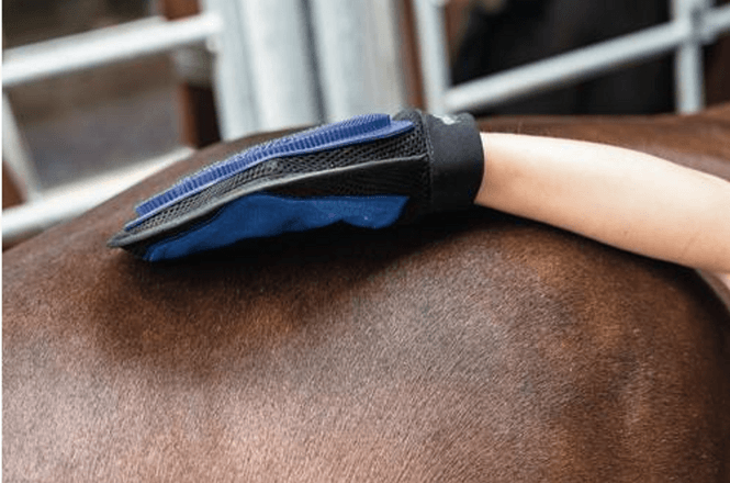 Hovedbilde HG grooming hanske 