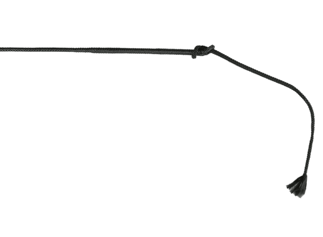 Hovedbilde Finntack Pro Kjørepisk 45''