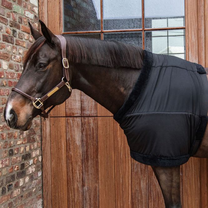 Hovedbilde Kentucky Chest Protection sort