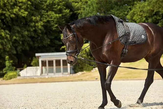 Hovedbilde HG Triangle reins