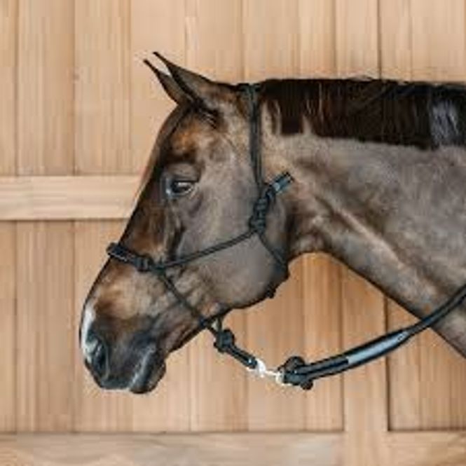 Hovedbilde Dyon Training halter taugrime