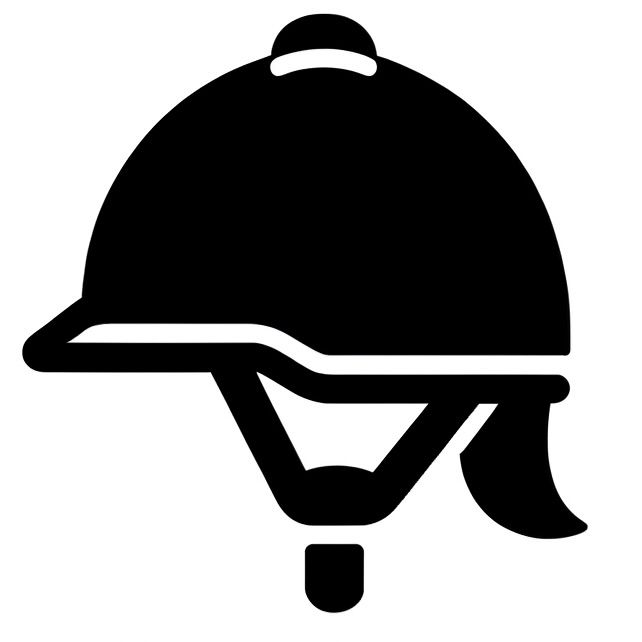 sikkerhetsutstyr til rytter. Hjelm og sikkerhetsvest