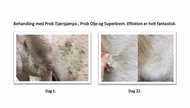 Ekholms Prob Supercream, 300ml