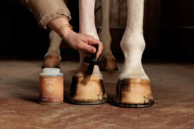 Hovedbilde Grooming Deluxe Hoof Oil Shine. 